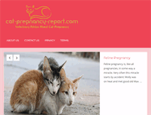 Tablet Screenshot of cat-pregnancy-report.com